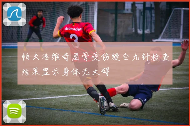 帕夫洛维奇眉骨受伤缝合九针检查结果显示身体无大碍