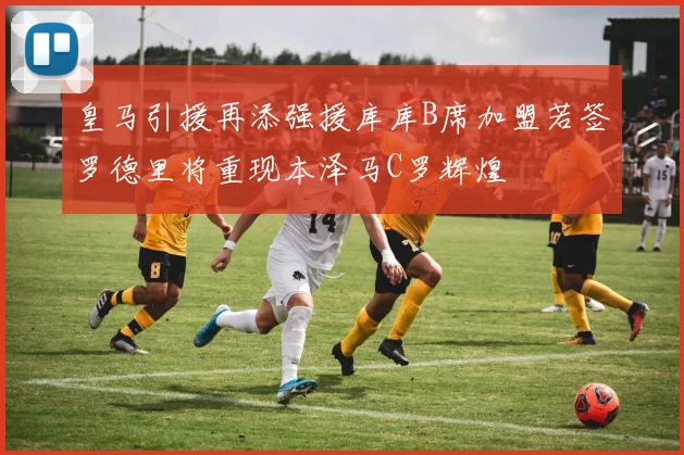 皇马引援再添强援库库B席加盟若签罗德里将重现本泽马C罗辉煌